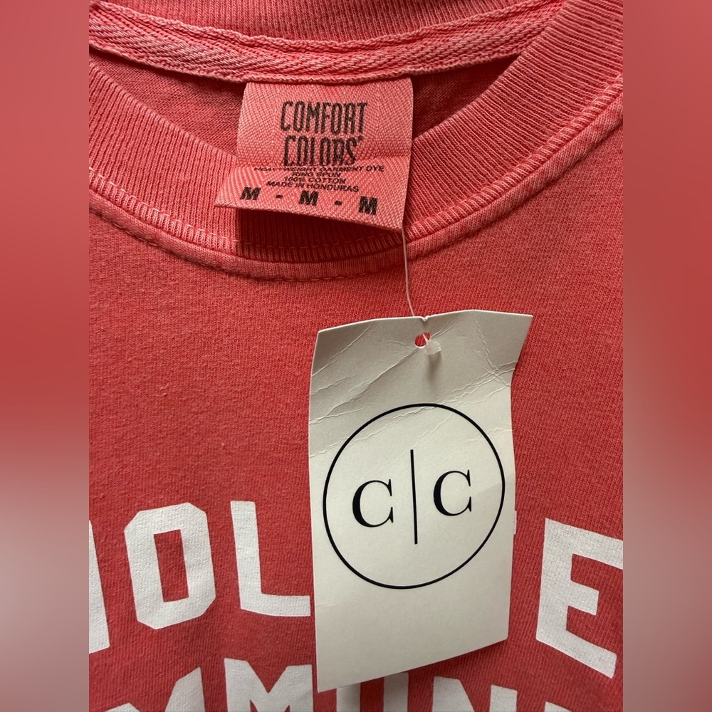 Violates Community Standards Graphic T Shirt Comfort Colors Medium - Picture 2 of 3